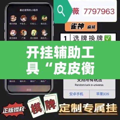 开挂辅助工具“皮皮衡阳字牌到底有没有挂”附辅助神器开挂脚本详细步骤