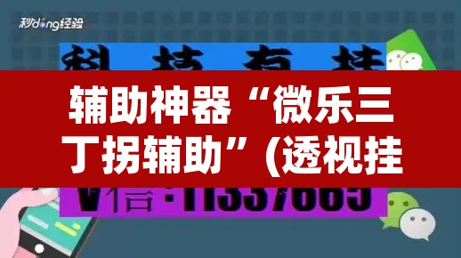 辅助神器“微乐三丁拐辅助	”(透视挂)辅助透视教程