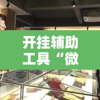 开挂辅助工具“微乐浙江麻将万能开挂	”开挂辅助脚本+详细开挂安装教程