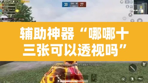 辅助神器“哪哪十三张可以透视吗”(透视)其实确实有挂