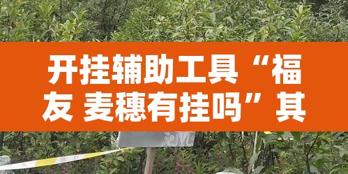 开挂辅助工具“福友 麦穗有挂吗”其实确实有挂