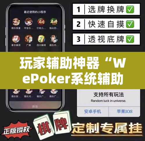 玩家辅助神器“WePoker系统辅助挂作弊器工具	”其实确实有挂