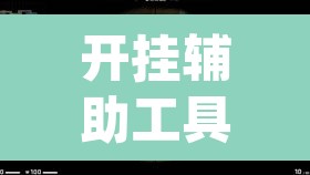 开挂辅助工具“wepoker透视开挂辅助挂”其实确实有挂