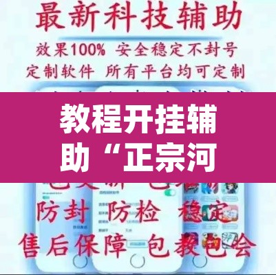 教程开挂辅助“正宗河北娱乐究竟有没有挂	”(透视挂)辅助透视教程