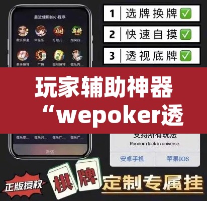 玩家辅助神器“wepoker透视辅助软件下载 	”其实确实有挂