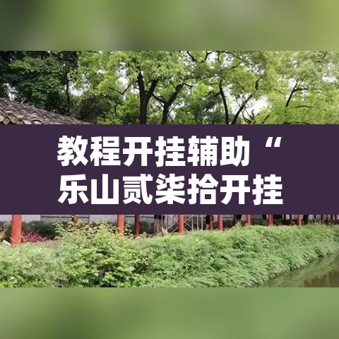 教程开挂辅助“乐山贰柒拾开挂神器”开挂辅助脚本+详细开挂安装教程