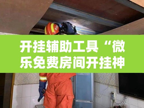 开挂辅助工具“微乐免费房间开挂神器”(透视挂)辅助透视教程