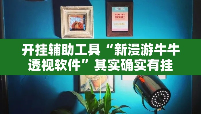 开挂辅助工具“新漫游牛牛透视软件”其实确实有挂
