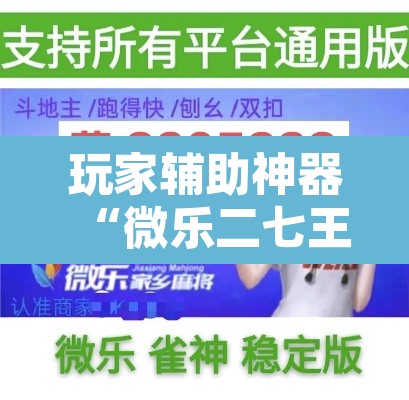 玩家辅助神器“微乐二七王开挂神器下载”其实确实有挂