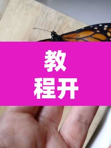 教程开挂辅助“蝴蝶大厅拼三张辅助挂”其实确实有挂