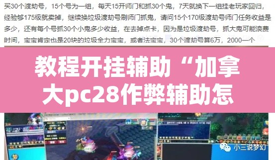 教程开挂辅助“加拿大pc28作弊辅助怎么弄”(透视)其实确实有挂