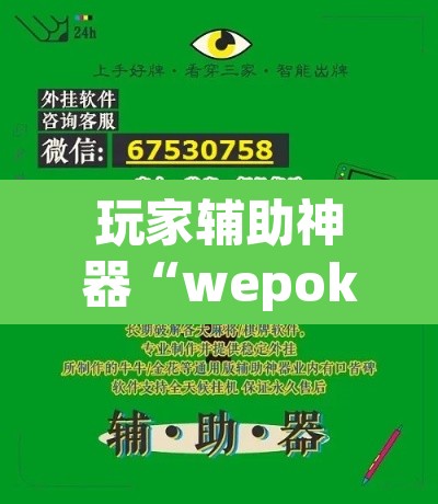 玩家辅助神器“wepoker确实可以透视的”开挂辅助脚本+详细开挂安装教程