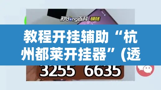 教程开挂辅助“杭州都莱开挂器”(透视挂)辅助透视教程