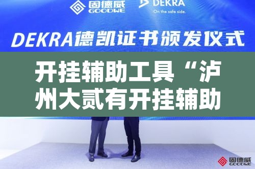 开挂辅助工具“泸州大贰有开挂辅助吗”附辅助神器开挂脚本详细步骤