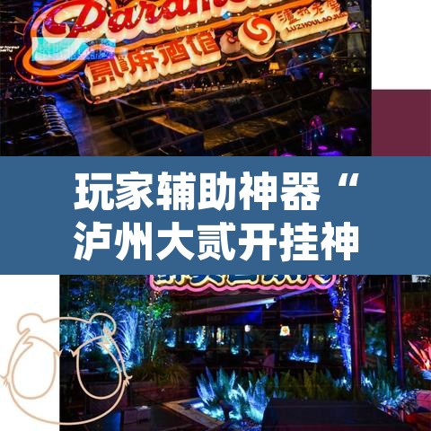 玩家辅助神器“泸州大贰开挂神器”(透视)其实确实有挂
