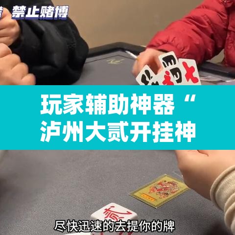 玩家辅助神器“泸州大贰开挂神器”(透视)其实确实有挂