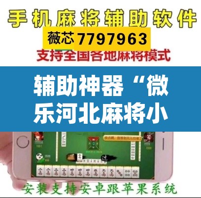辅助神器“微乐河北麻将小程序万能挂免费版”(透视挂)辅助透视教程