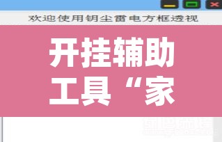开挂辅助工具“家乡大二辅助软件”(透视挂)辅助透视教程