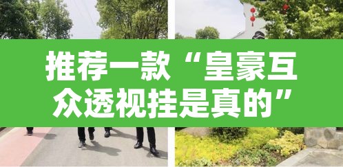 推荐一款“皇豪互众透视挂是真的”其实确实有挂