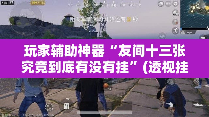 玩家辅助神器“友间十三张究竟到底有没有挂”(透视挂)辅助透视教程
