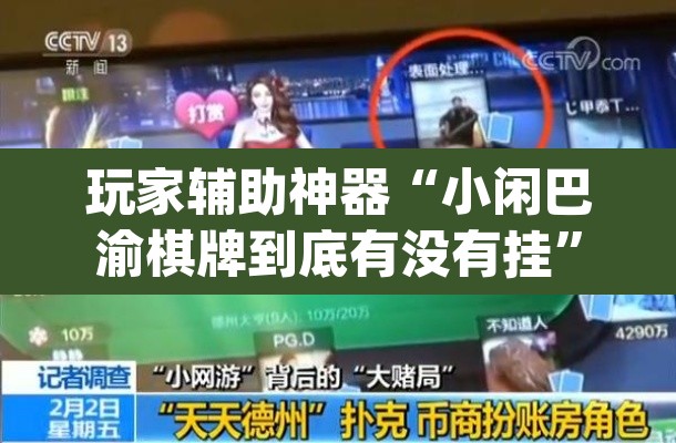 玩家辅助神器“小闲巴渝棋牌到底有没有挂”(透视挂)辅助透视教程