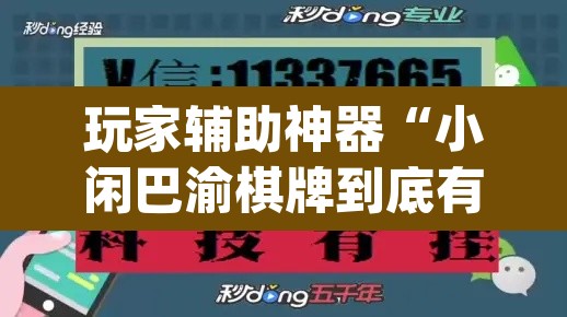 玩家辅助神器“小闲巴渝棋牌到底有没有挂”(透视挂)辅助透视教程