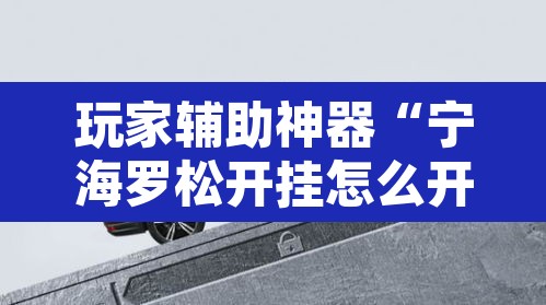玩家辅助神器“宁海罗松开挂怎么开”其实确实有挂