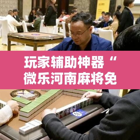 玩家辅助神器“微乐河南麻将免费开挂手机版	”(透视)其实确实有挂