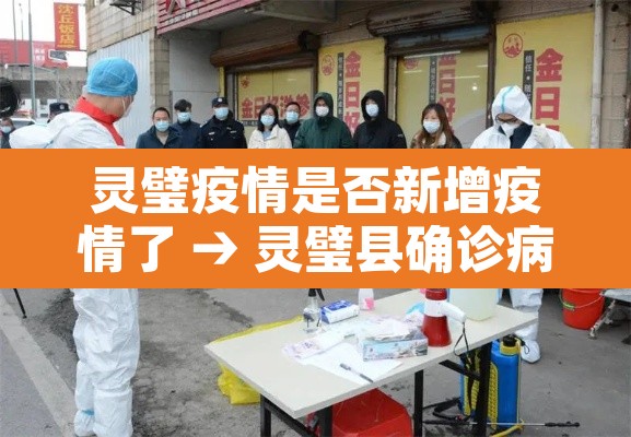 灵璧疫情是否新增疫情了 → 灵璧县确诊病例