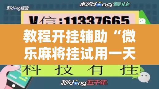 教程开挂辅助“微乐麻将挂试用一天”(透视挂)辅助透视教程