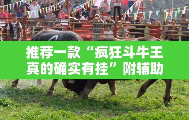 推荐一款“疯狂斗牛王真的确实有挂”附辅助神器开挂脚本详细步骤