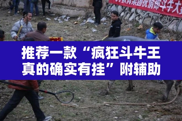 推荐一款“疯狂斗牛王真的确实有挂	”附辅助神器开挂脚本详细步骤
