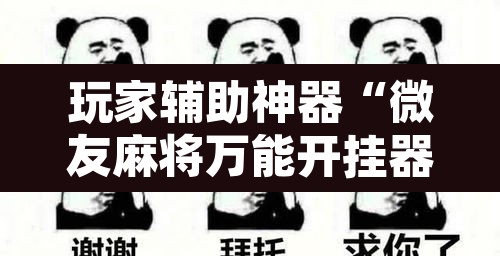 玩家辅助神器“微友麻将万能开挂器”其实确实有挂