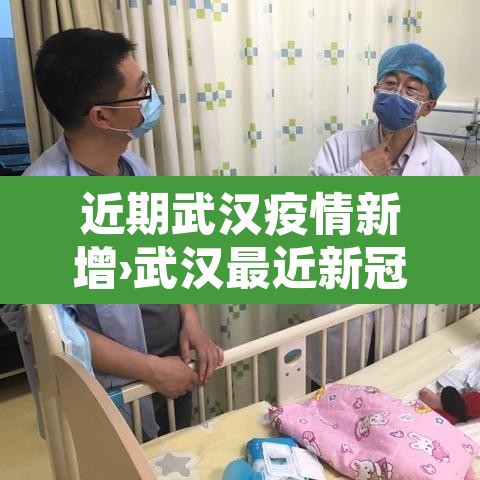 近期武汉疫情新增›武汉最近新冠肺炎疫情