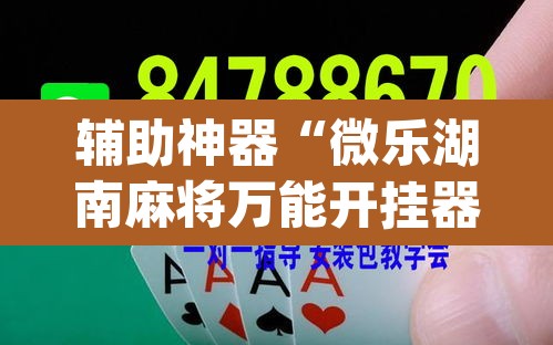 辅助神器“微乐湖南麻将万能开挂器免费”(透视)其实确实有挂