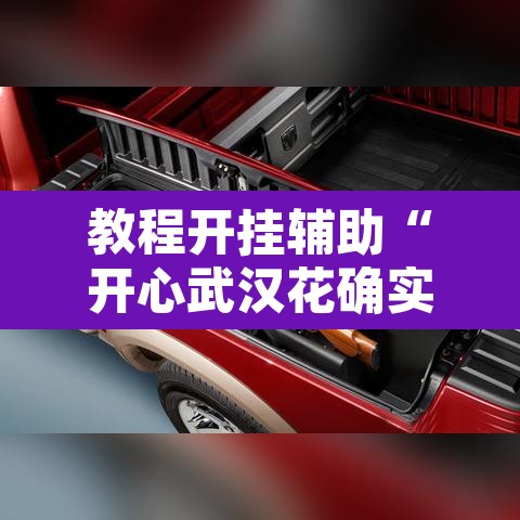 教程开挂辅助“开心武汉花确实真的有挂”其实确实有挂