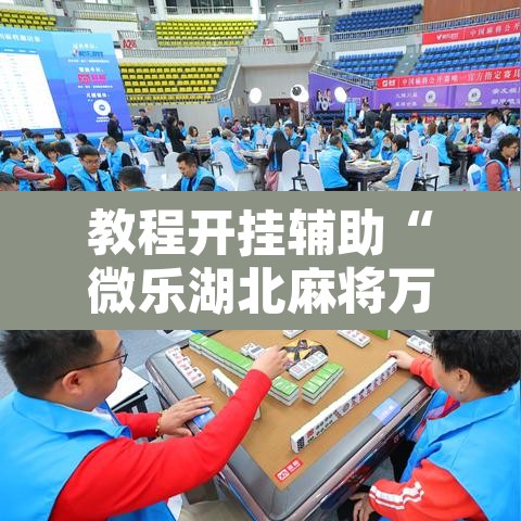 教程开挂辅助“微乐湖北麻将万能开挂器通用版”其实确实有挂