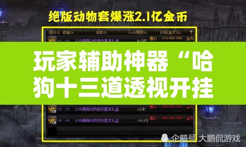 玩家辅助神器“哈狗十三道透视开挂	”附辅助神器开挂脚本详细步骤