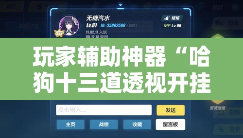 玩家辅助神器“哈狗十三道透视开挂”附辅助神器开挂脚本详细步骤