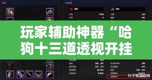 玩家辅助神器“哈狗十三道透视开挂	”附辅助神器开挂脚本详细步骤