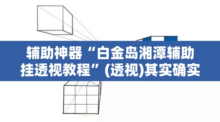 辅助神器“白金岛湘潭辅助挂透视教程	”(透视)其实确实有挂