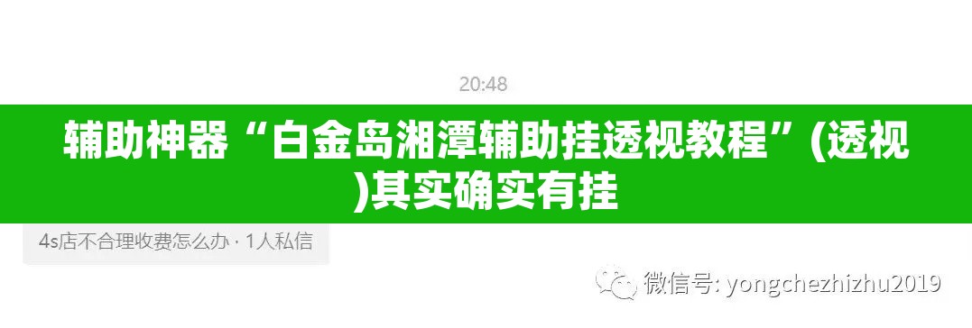 辅助神器“白金岛湘潭辅助挂透视教程”(透视)其实确实有挂