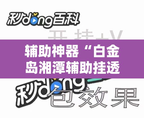 辅助神器“白金岛湘潭辅助挂透视教程”(透视)其实确实有挂