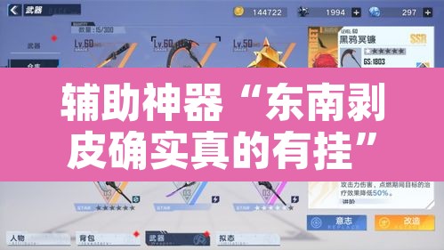 辅助神器“东南剥皮确实真的有挂”其实确实有挂