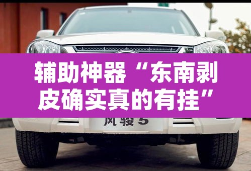 辅助神器“东南剥皮确实真的有挂	”其实确实有挂