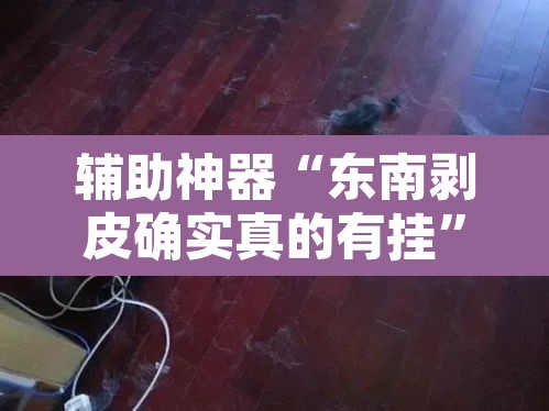 辅助神器“东南剥皮确实真的有挂”其实确实有挂
