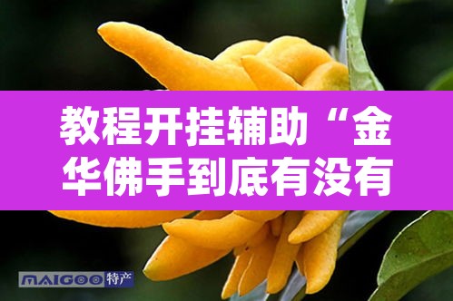 教程开挂辅助“金华佛手到底有没有挂”(透视挂)辅助透视教程