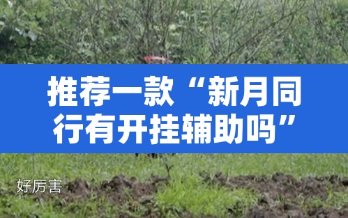 推荐一款“新月同行有开挂辅助吗”其实确实有挂