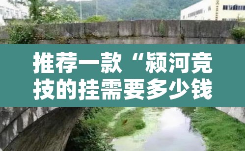 推荐一款“颍河竞技的挂需要多少钱”其实确实有挂