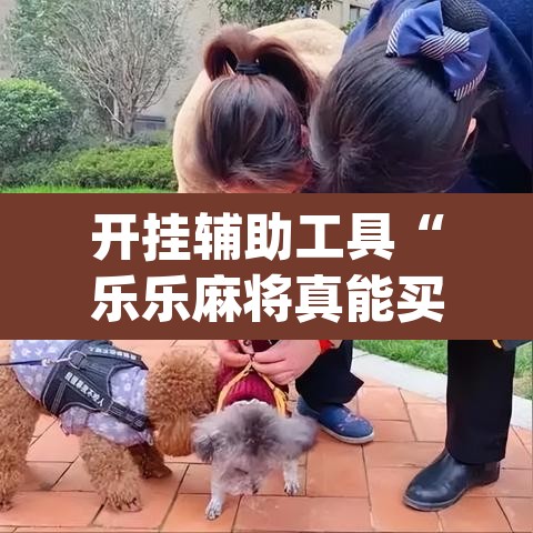 开挂辅助工具“乐乐麻将真能买到挂吗	”(透视)其实确实有挂